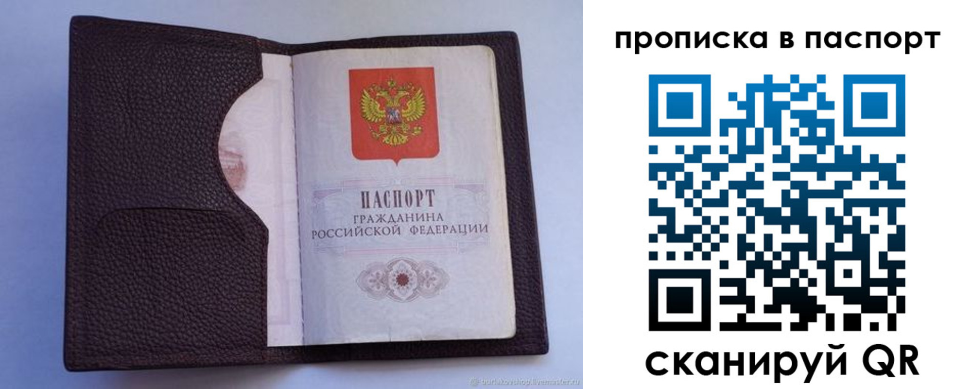 прописка законно в Змеиногорске